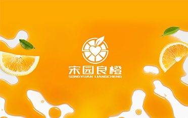 某良橙——阜阳LOGO设计