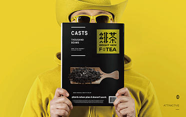 阜阳绯茶品牌设计